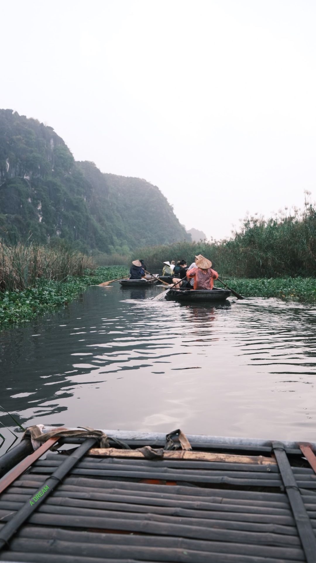 Khu bảo tồn thiên nhiên đất ngập nước Vân Long, Ninh Bình. Ảnh: Lana Condor