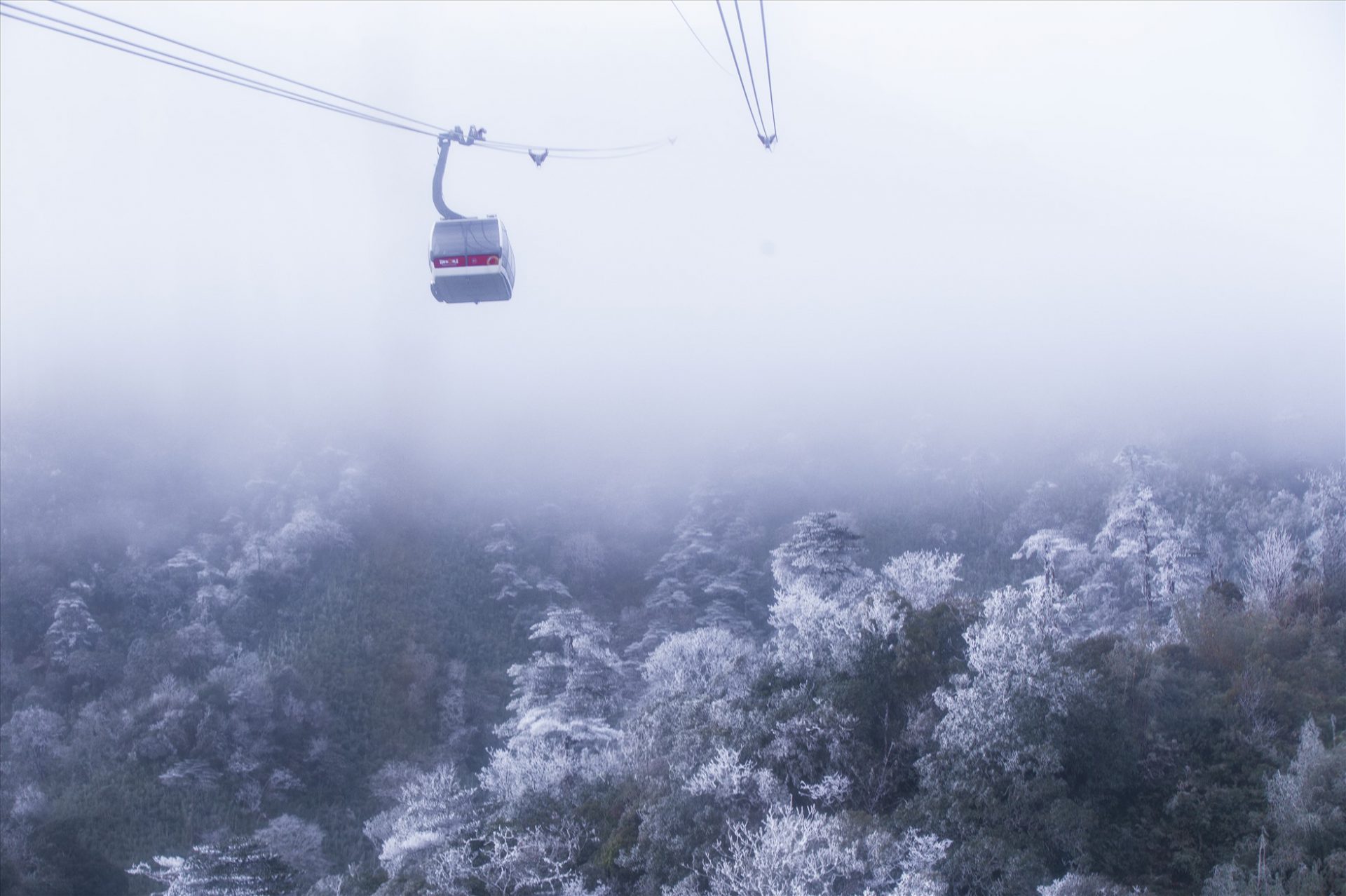 Từ trên cáp treo, du khách có thể tận mắt ngắm nhìn thiên nhiên kỳ vĩ của núi rừng Hoàng Liên khoác lên mình tấm áo băng trắng xóa.