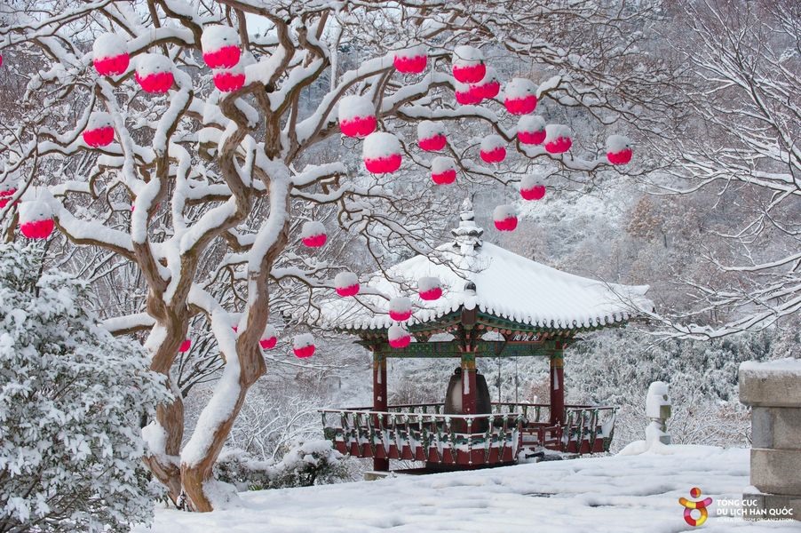 Thời tiết mùa đông vô cùng giá lạnh, trung bình từ -6 đến 3 độ C. Ở những ngày lạnh nhất trong năm, nhiều nơi ở Hàn Quốc bao phủ sắc trắng của tuyết.