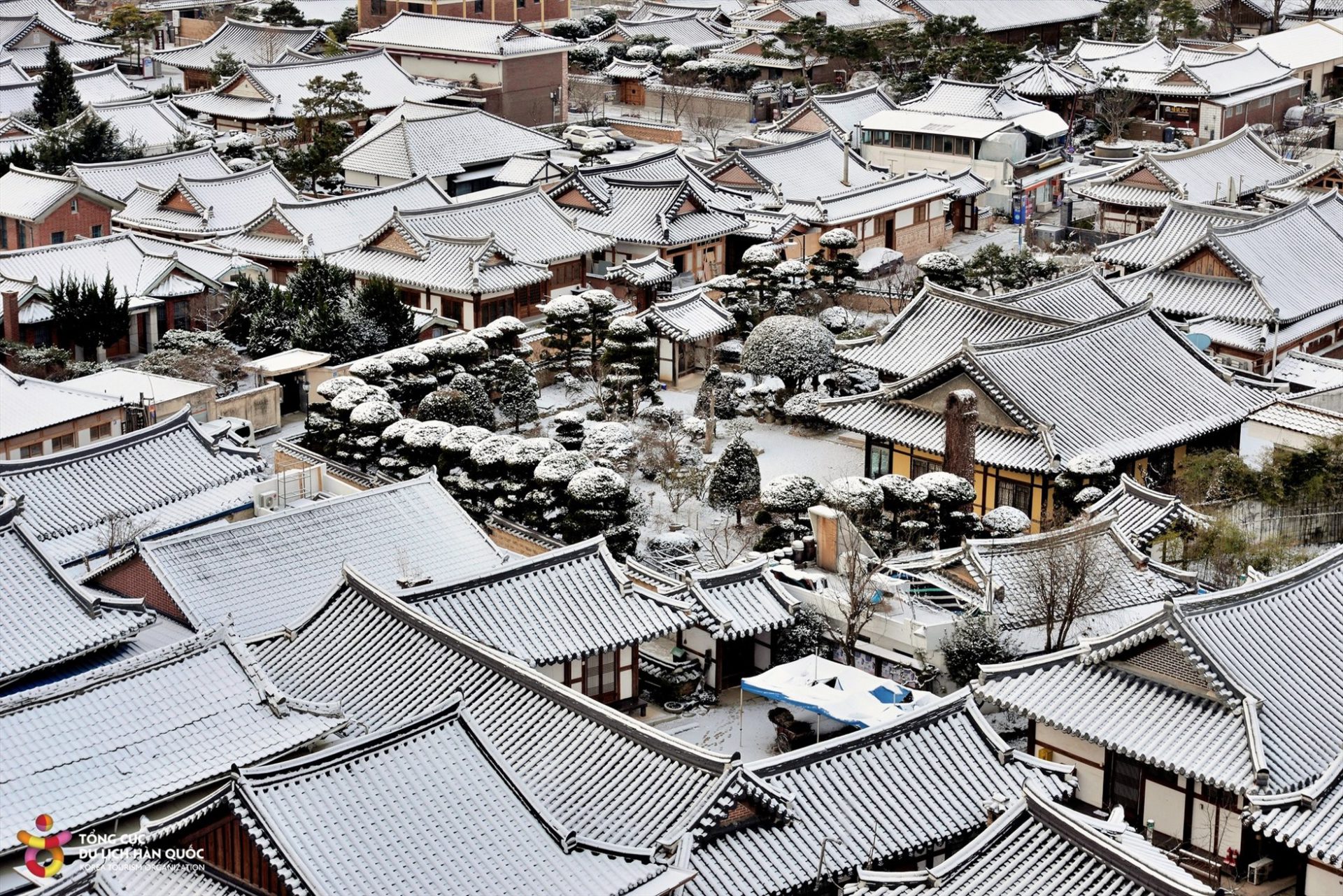 Những lớp tuyết dày đọng trên các mái nhà, cành cây, ngọn cỏ, đường phố tạo nên một bức tranh yên bình, tuyệt đẹp.