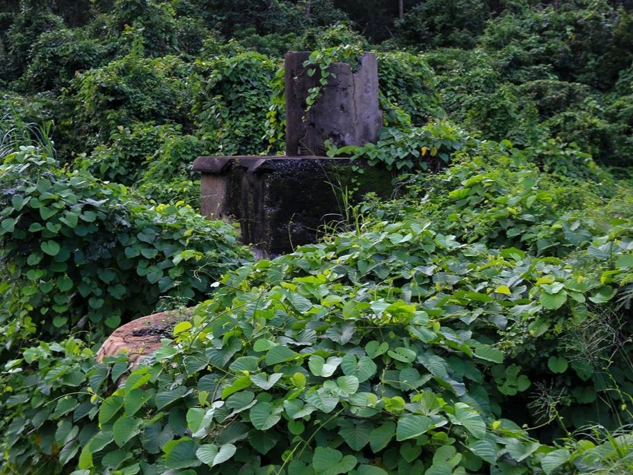 Chiêm ngưỡng vẻ đẹp cổ điển cầu vòm Đồn Cả ở chân núi Hải Vân - ảnh 11