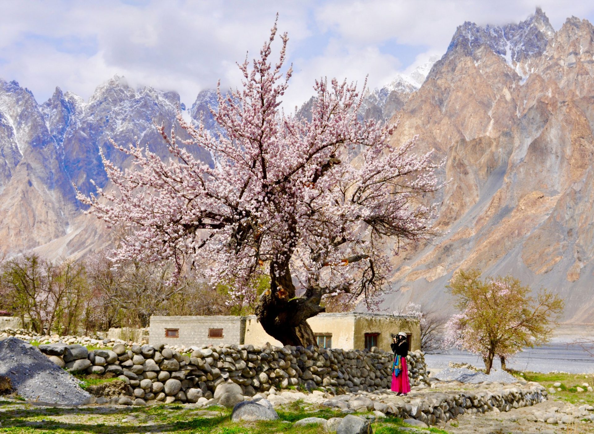 Mùa hoa tuyệt đẹp tại thung lũng Hunza.