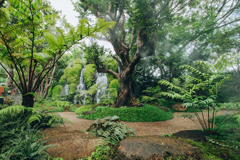 Khu rừng nhiệt đới ở Chom Cafe and Restaurant khiến du khách yêu thiên nhiên mê đắm.