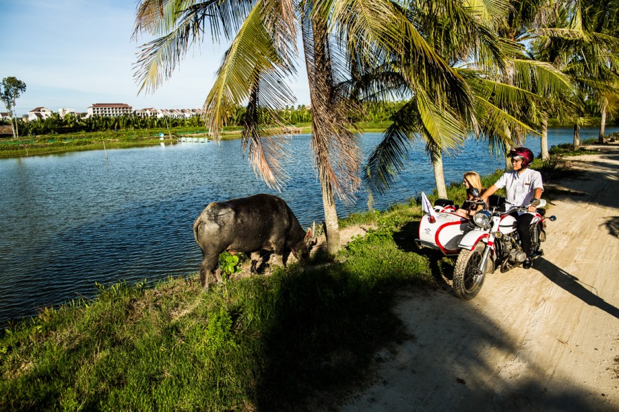 Lý do Việt Nam là điểm đến tuyệt nhất thế giới của khách Mỹ