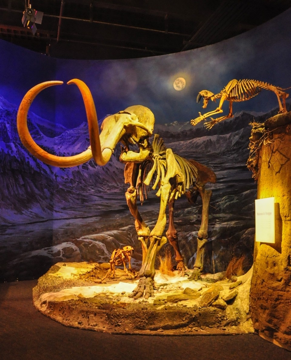 Một ngày khám phá 'nghĩa địa khủng long' lớn nhất thế giới của du khách Việt - ảnh 4
