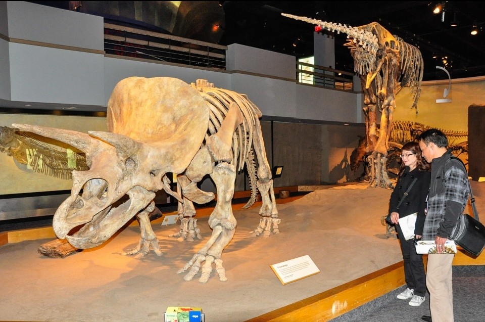 Một ngày khám phá 'nghĩa địa khủng long' lớn nhất thế giới của du khách Việt - ảnh 5