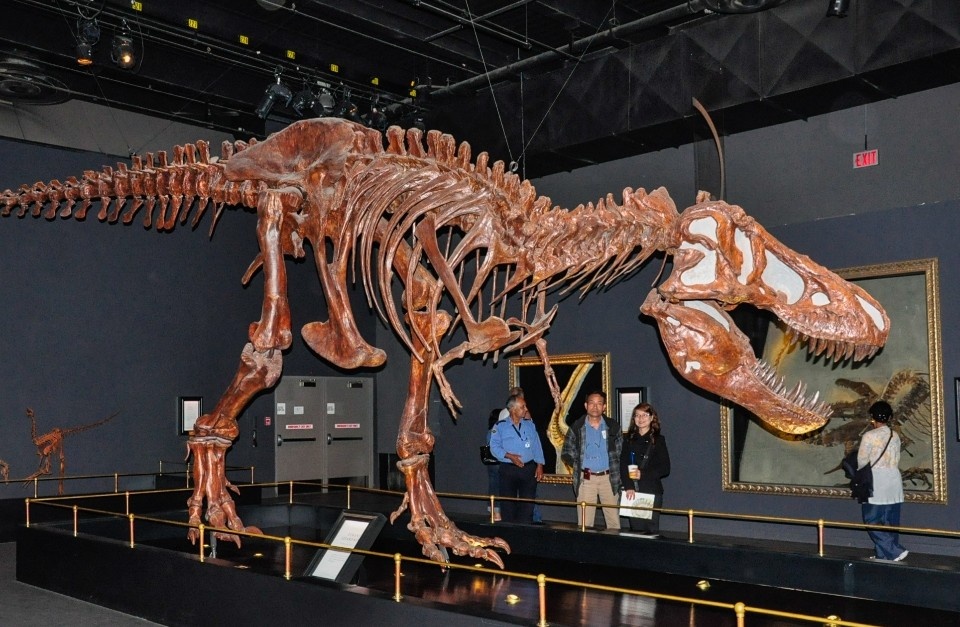 Một ngày khám phá 'nghĩa địa khủng long' lớn nhất thế giới của du khách Việt - ảnh 6