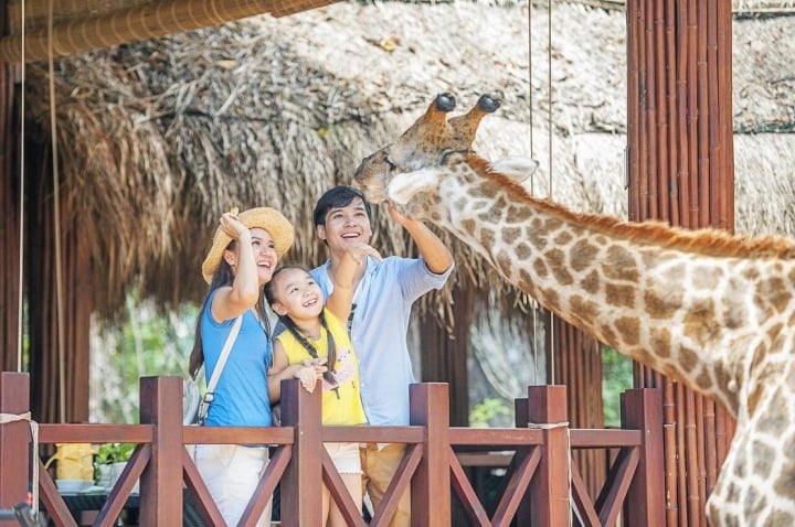 Những kinh nghiệm đi Vinpearl Safari Phú Quốc nên biết - 4