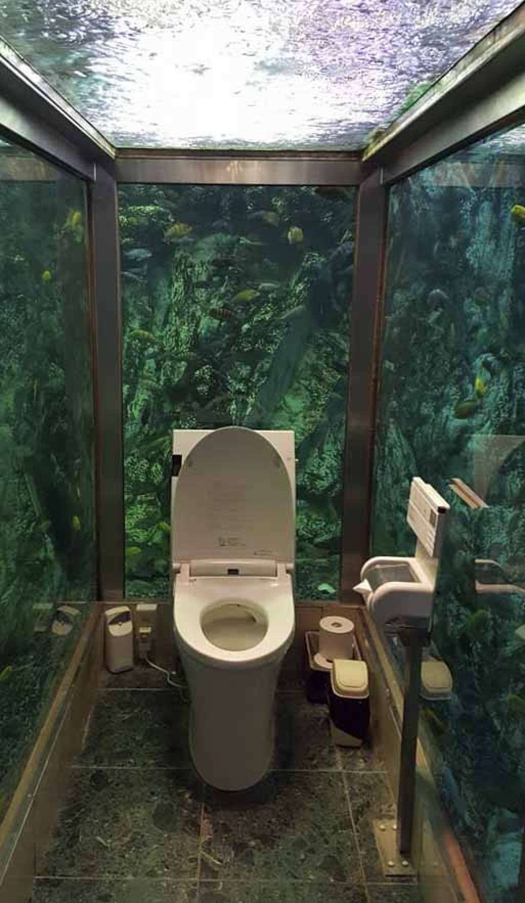 Một nhà vệ sinh tại nhà hàng Hipopo Papa, ở Akashi, được bao quanh bởi một bể cá. Ảnh: SCMP